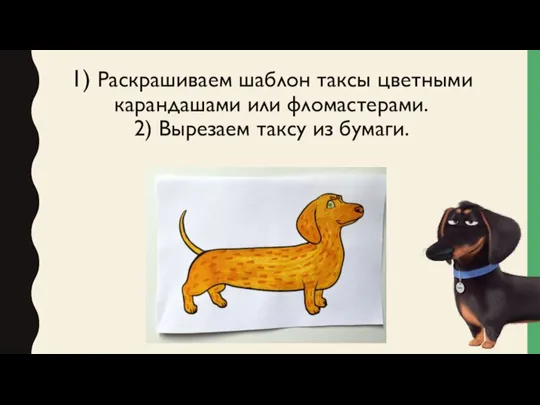 1) Раскрашиваем шаблон таксы цветными карандашами или фломастерами. 2) Вырезаем таксу из бумаги.