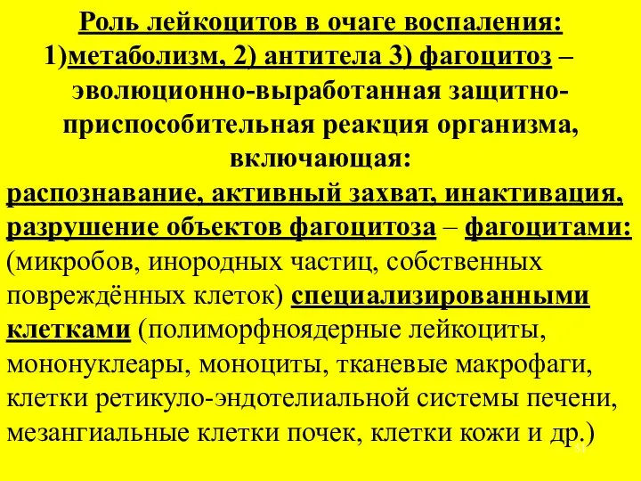 Роль лейкоцитов в очаге воспаления: метаболизм, 2) антитела 3) фагоцитоз – эволюционно-выработанная