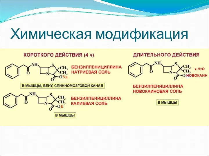 Химическая модификация