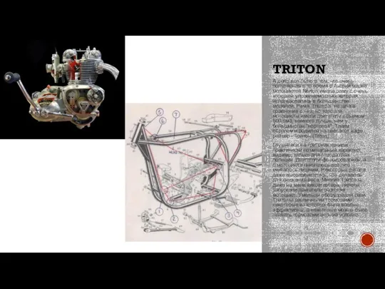 TRITON А дело все было в том, что очень популярная в то