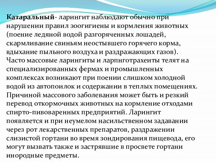 Катаральный- ларингит наблюдают обычно при нарушении правил зоогигиены и кормления животных (поение