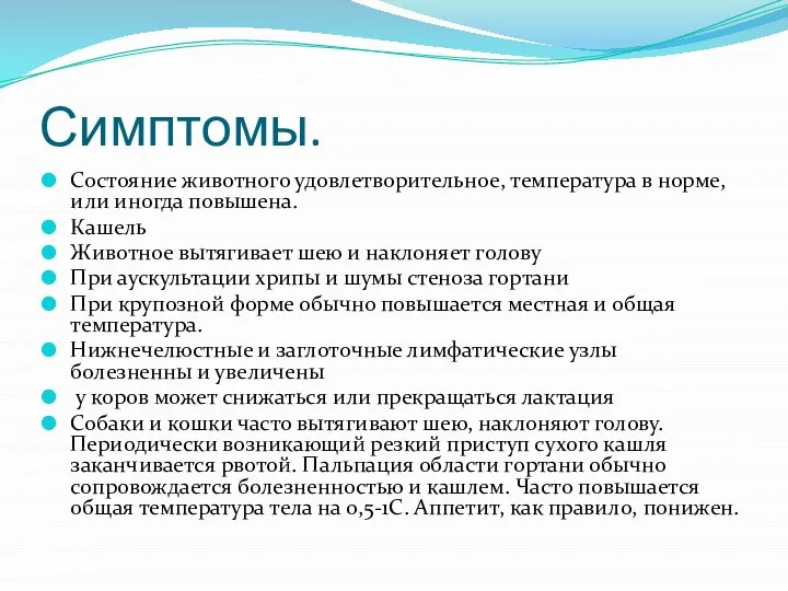 Симптомы. Состояние животного удовлетворительное, температура в норме, или иногда повышена. Кашель Животное