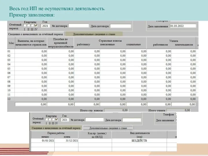 Весь год ИП не осуществлял деятельность. Пример заполнения: