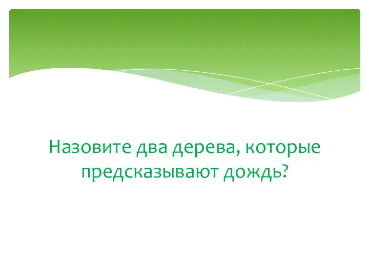 Назовите два дерева, которые предсказывают дождь?