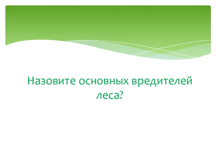 Назовите основных вредителей леса?