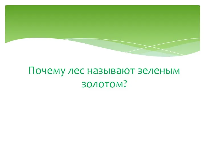 Почему лес называют зеленым золотом?