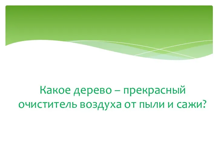 Какое дерево – прекрасный очиститель воздуха от пыли и сажи?