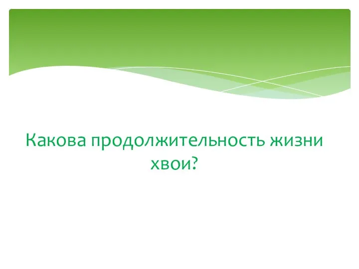 Какова продолжительность жизни хвои?