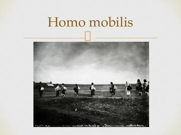Homo mobilis