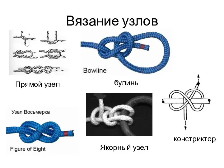 Вязание узлов Прямой узел булинь констриктор Якорный узел