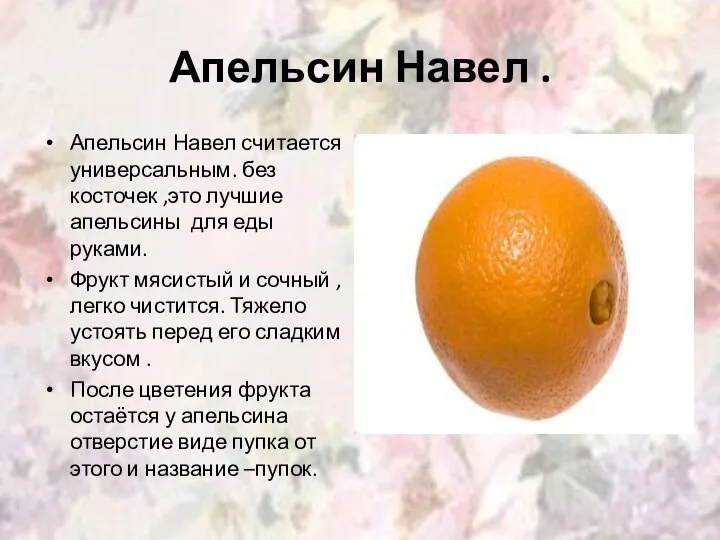 Апельсин Навел . Апельсин Навел считается универсальным. без косточек ,это лучшие апельсины