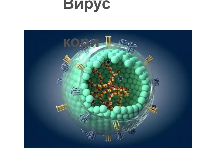 Вирус кори