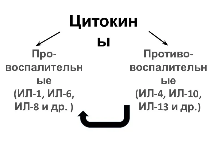 Цитокины Про- воспалительные (ИЛ-1, ИЛ-6, ИЛ-8 и др. ) Противо- воспалительные (ИЛ-4, ИЛ-10, ИЛ-13 и др.)