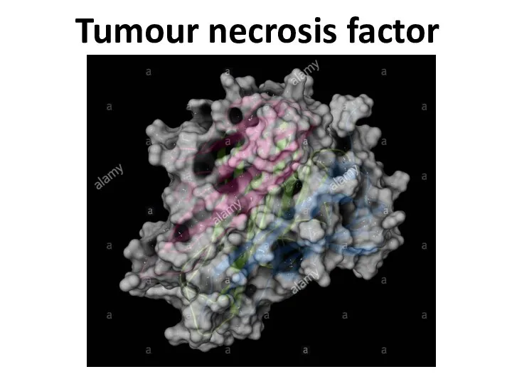 Tumour necrosis factor