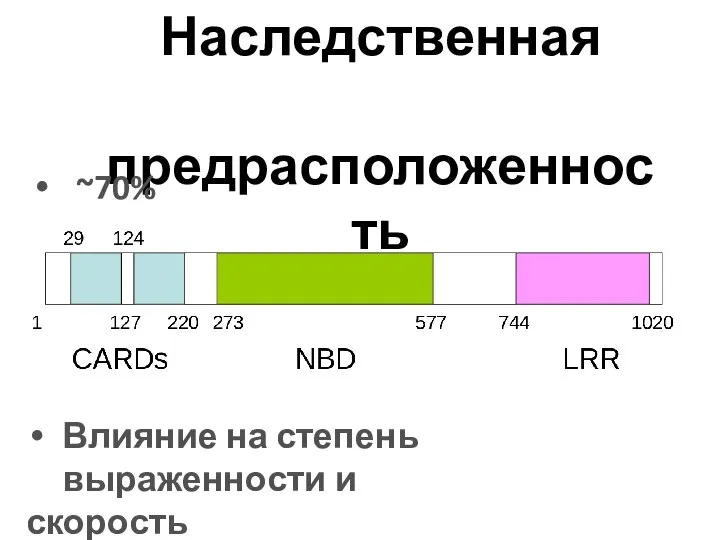 Наследственная предрасположенность ~70% Влияние на степень выраженности и скорость