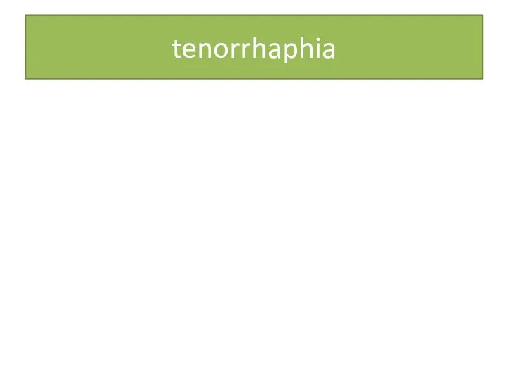 tenorrhaphia