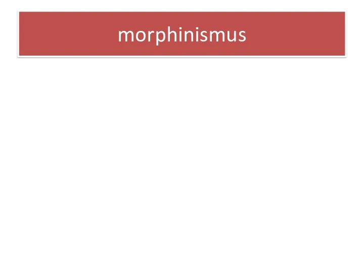 morphinismus
