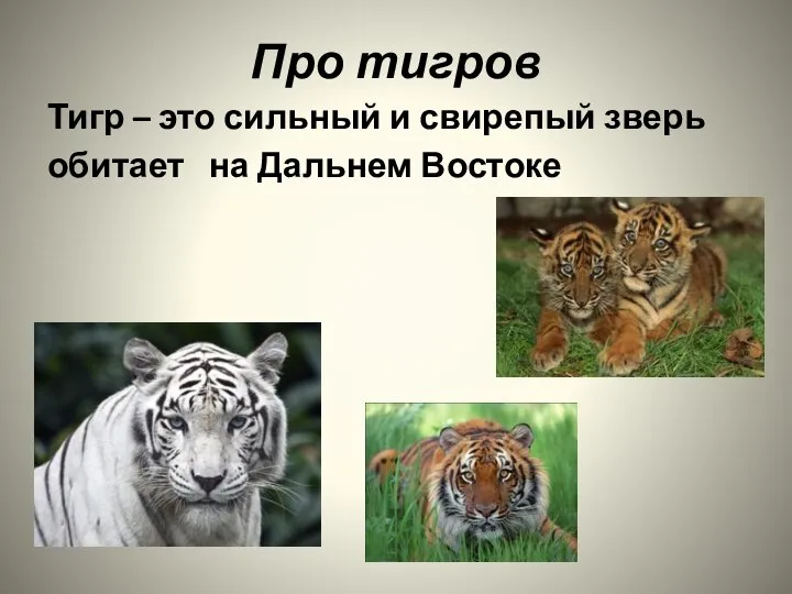 Про тигров Тигр – это сильный и свирепый зверь обитает на Дальнем Востоке