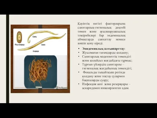 Қауіптің негізгі факторларына санитарлық-гигиеналық деңгейі төмен және ауылшаруашылық тәжірибелері бар эндемикалық аймақтарда