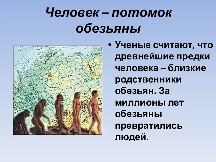 Человек – потомок обезьяны Ученые считают, что древнейшие предки человека – близкие