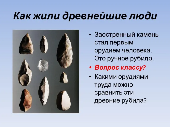 Как жили древнейшие люди Заостренный камень стал первым орудием человека. Это ручное