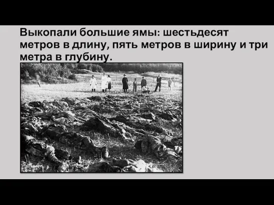 Выкопали большие ямы: шестьдесят метров в длину, пять метров в ширину и три метра в глубину.