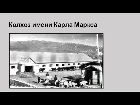 Колхоз имени Карла Маркса