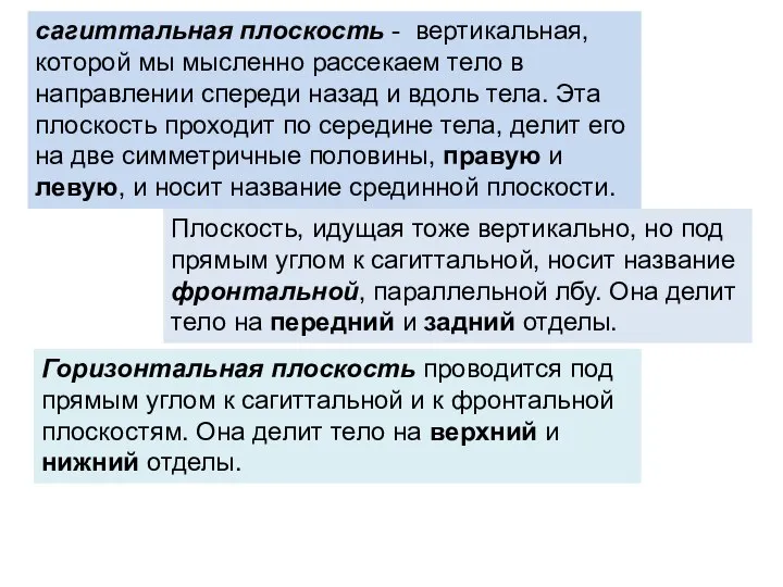 сагиттальная плоскость - вертикальная, которой мы мысленно рассекаем тело в направлении спереди