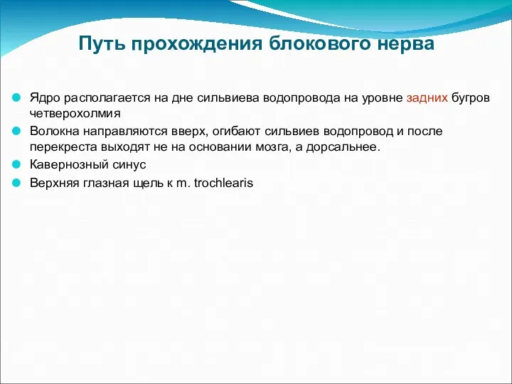 Путь прохождения блокового нерва Ядро располагается на дне сильвиева водопровода на уровне