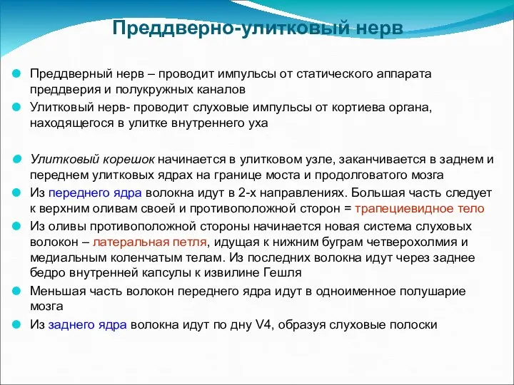 Преддверно-улитковый нерв Преддверный нерв – проводит импульсы от статического аппарата преддверия и