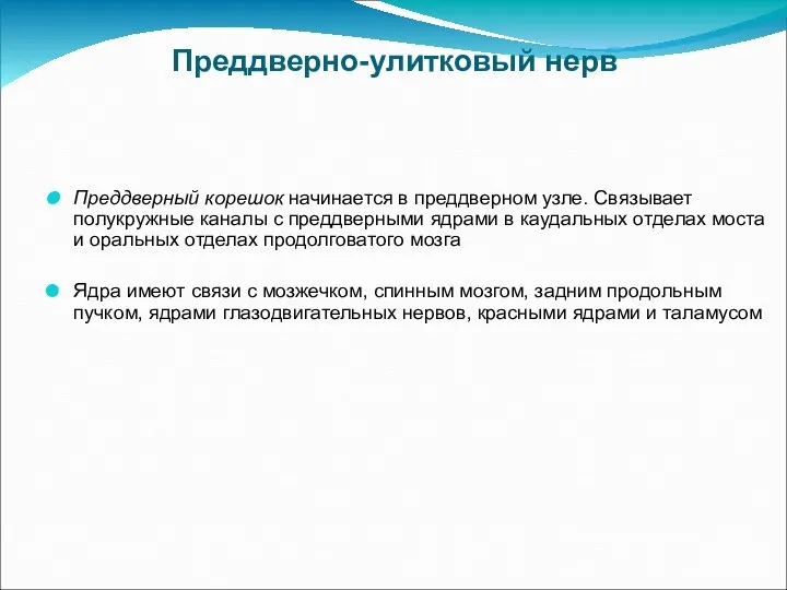 Преддверно-улитковый нерв Преддверный корешок начинается в преддверном узле. Связывает полукружные каналы с