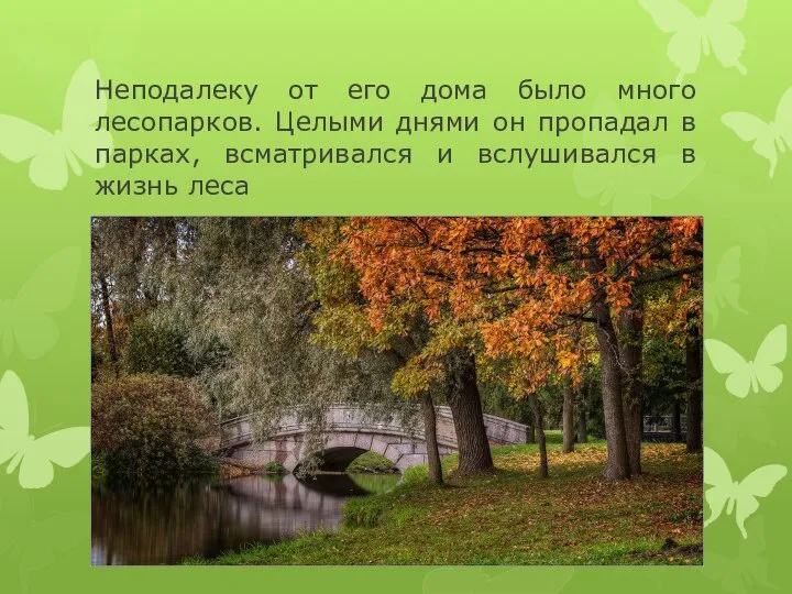 Неподалеку от его дома было много лесопарков. Целыми днями он пропадал в