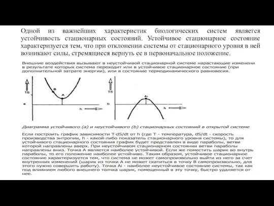 Одной из важнейших характеристик биологических систем является устойчивость стационарных состояний. Устойчивое стационарное