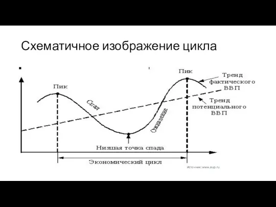 Схематичное изображение цикла Источник:www.aup.ru