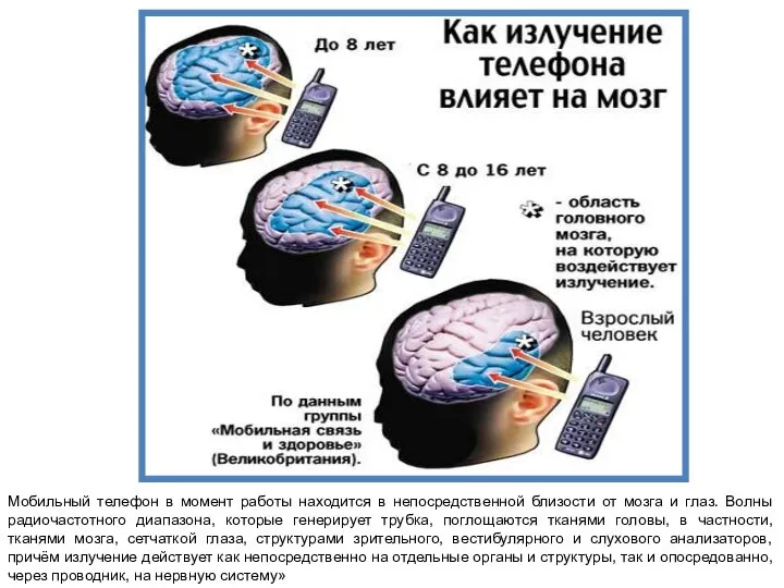 Мобильный телефон в момент работы находится в непосредственной близости от мозга и