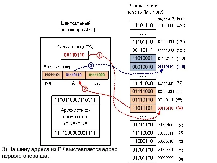3) На шину адреса из РК выставляется адрес первого операнда.