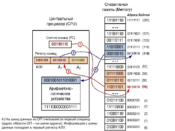 4) На шину данных из ОП считывается первый операнд (адрес области ОП