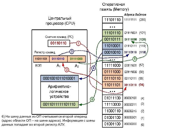 6) На шину данных из ОП считывается второй операнд (адрес области ОП