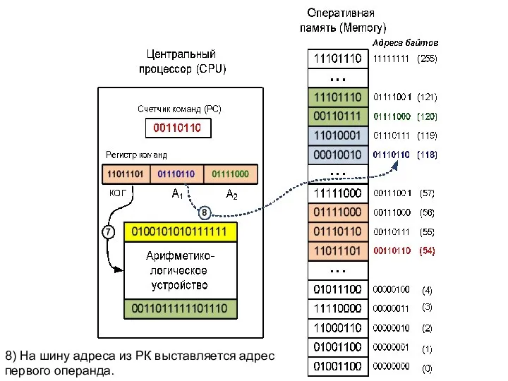 8) На шину адреса из РК выставляется адрес первого операнда.