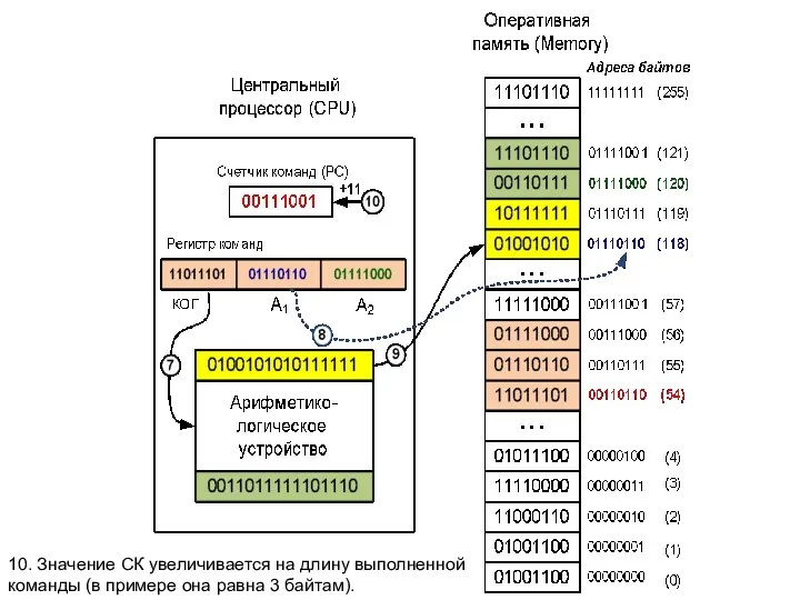 10. Значение СК увеличивается на длину выполненной команды (в примере она равна 3 байтам).