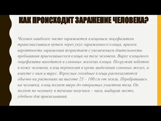 КАК ПРОИСХОДИТ ЗАРАЖЕНИЕ ЧЕЛОВЕКА? Человек наиболее часто заражается клещевым энцефалитом трансмиссивным путем