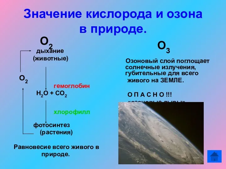Значение кислорода и озона в природе. О2 дыхание (животные) О2 гемоглобин Н2О