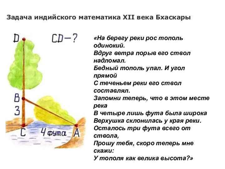 Задача индийского математика XII века Бхаскары «На берегу реки рос тополь одинокий.