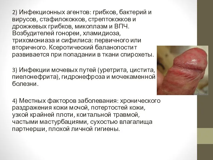 2) Инфекционных агентов: грибков, бактерий и вирусов, стафилококков, стрептококков и дрожжевых грибков,