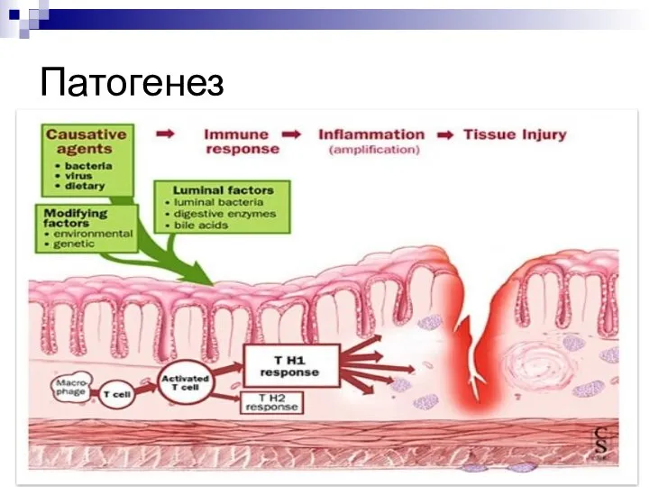 Патогенез