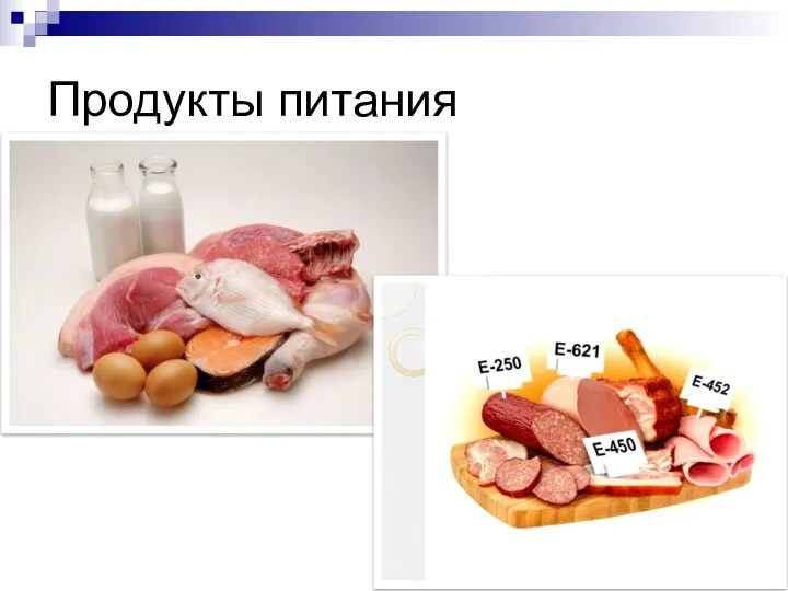 Продукты питания