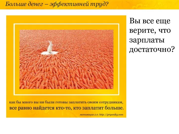 Больше денег – эффективней труд? Вы все еще верите, что зарплаты достаточно?