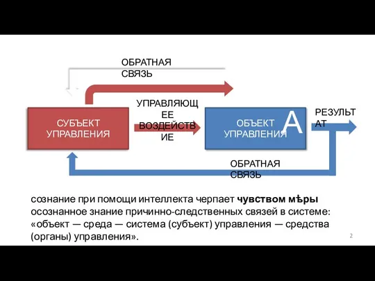 СУБЪЕКТ УПРАВЛЕНИЯ ОБЪЕКТ УПРАВЛЕНИЯ РЕЗУЛЬТАТ ОБРАТНАЯ СВЯЗЬ УПРАВЛЯЮЩЕЕ ВОЗДЕЙСТВИЕ СРЕДА ОБРАТНАЯ СВЯЗЬ