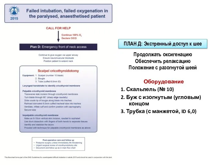 Оборудование 1. Скальпель (№ 10) 2. Буж с изогнутым (угловым) концом 3.