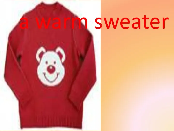 a warm sweater